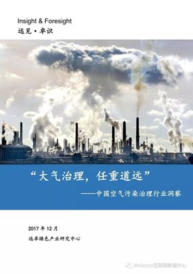 中國大氣污染治理行業(yè) 政策驅(qū)動(dòng)與技術(shù)革新下的發(fā)展洞察